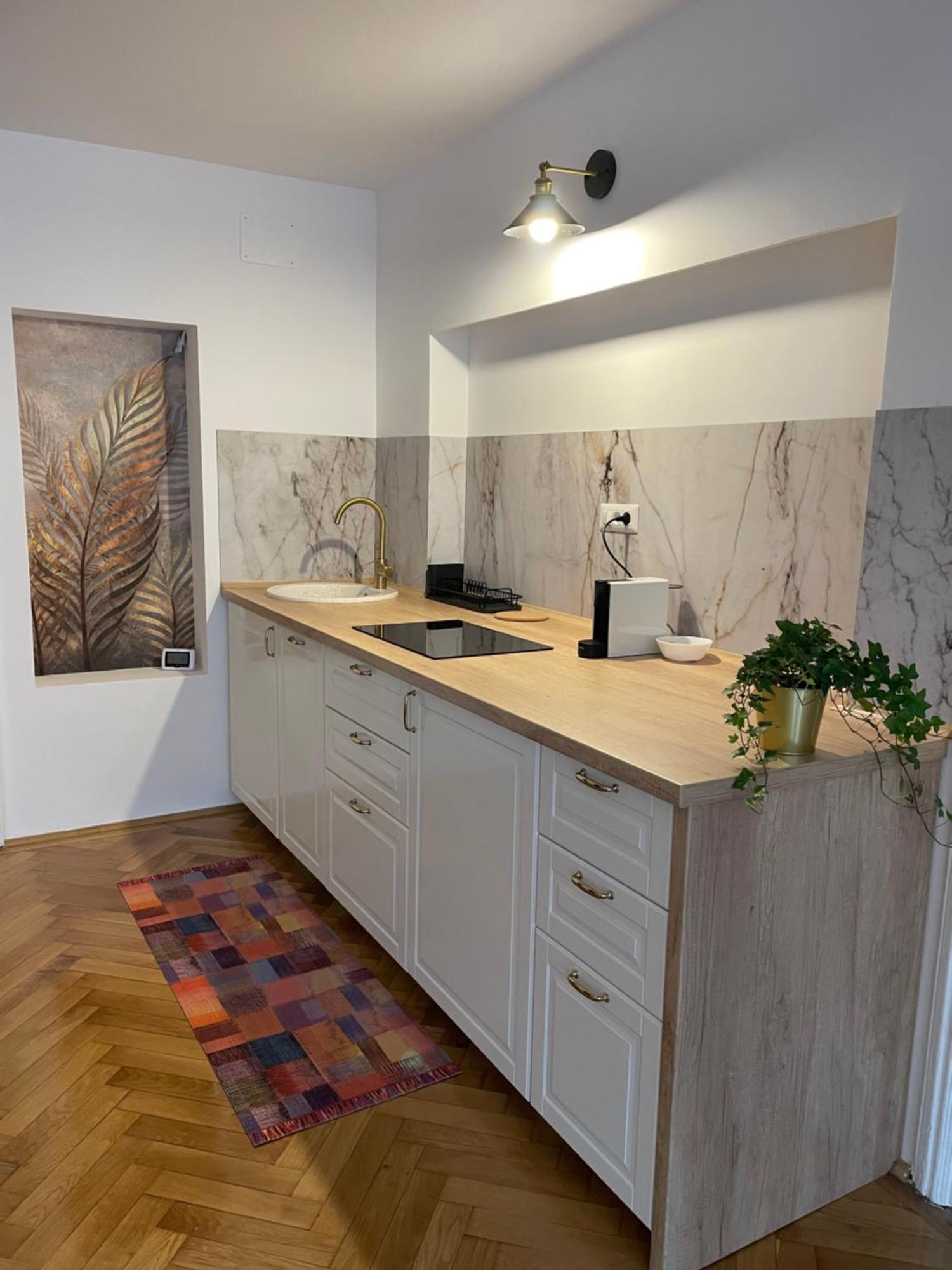 Cozy Stay Braşov Exteriör bild